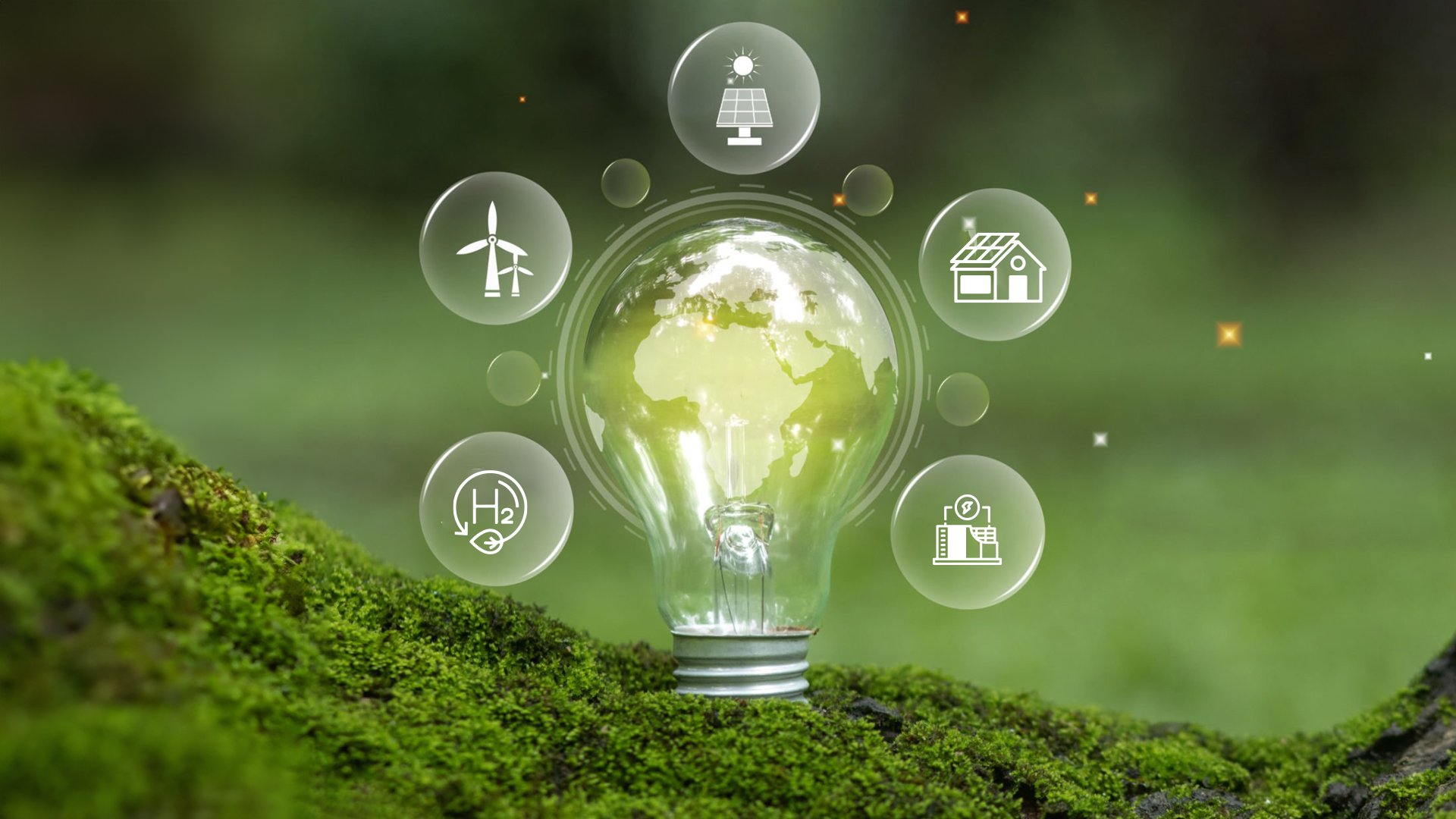 Renewable Energy Adoption